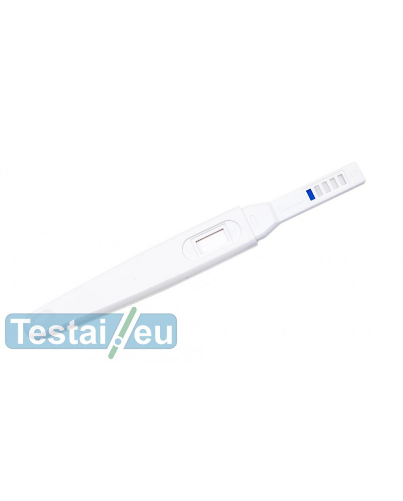 Nėštumo testas (pieštukas)